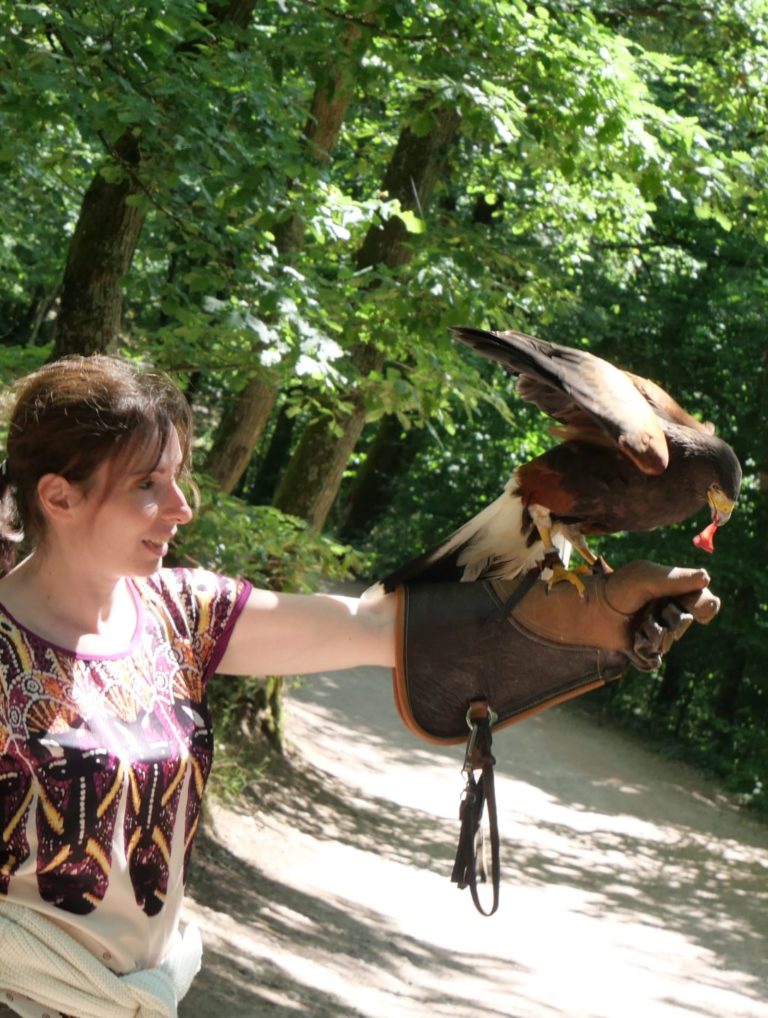 Sandrine Weber, coach budgétaire fauconnière